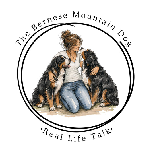 Bernese Mountain Dog breeder puppy with Norah and Lilah, Bernie Bears blog on adopting or shopping responsibly
