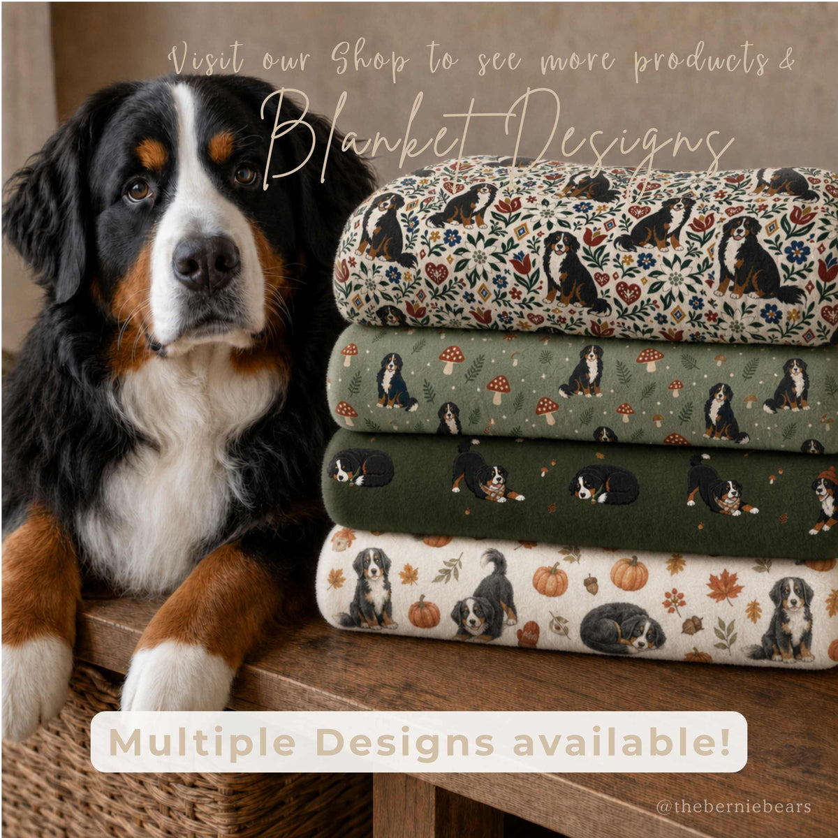 Bernese Mountain Dog beside a stack of folded blankets in multiple print designs, including floral, mushroom, and pumpkin patterns. Text reads "Visit our Shop to see more products & Blanket Designs. Multiple Designs available!"