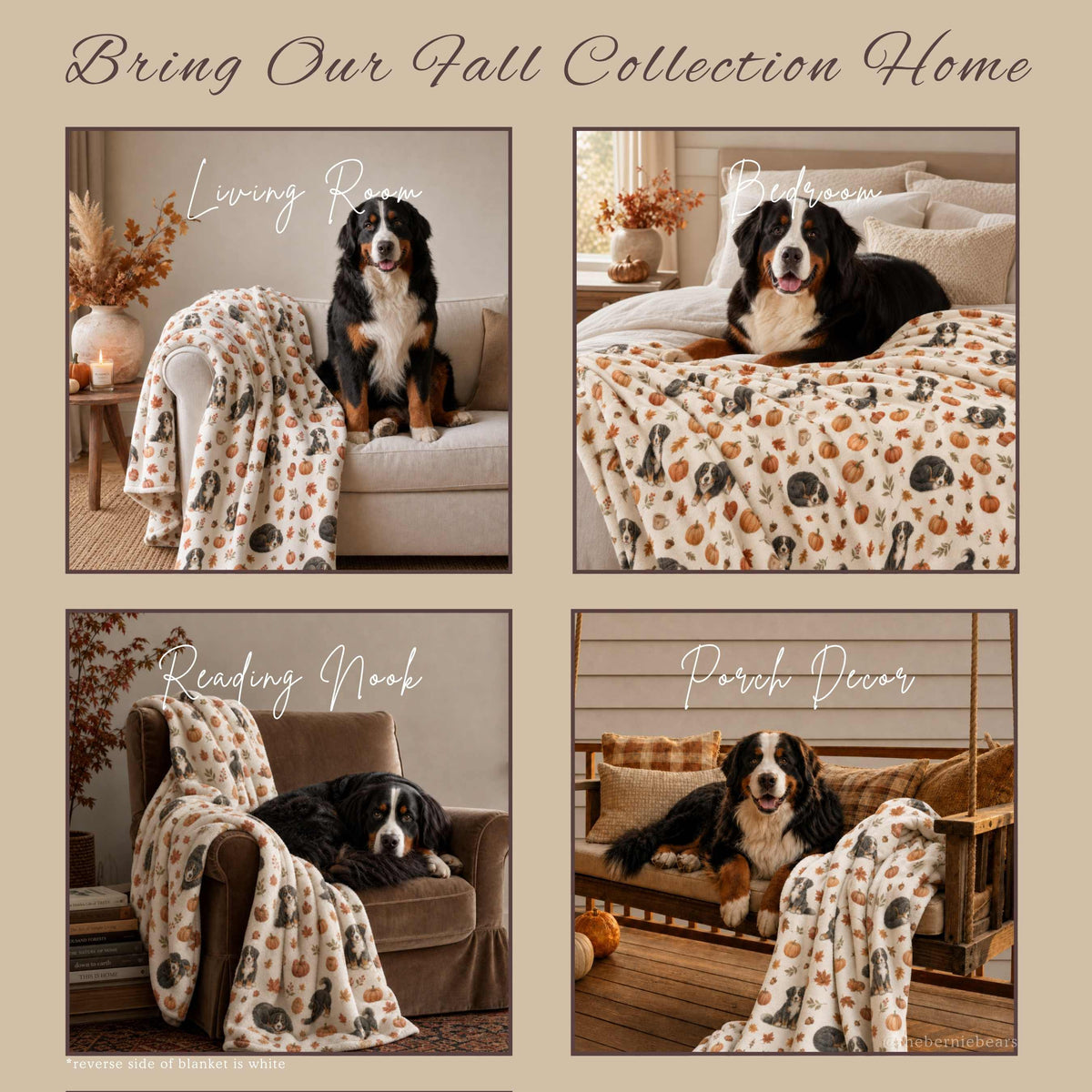 A four-photo collage titled "Bring Our Fall Collection Home" showing a Bernese Mountain Dog with the Cozy Pumpkin Toss blanket in four settings: draped over a living room armchair, spread across a bedroom bed, draped over a reading nook chair with books nearby, and draped over a porch bench with pumpkins, with a note that the reverse side of the blanket is white.