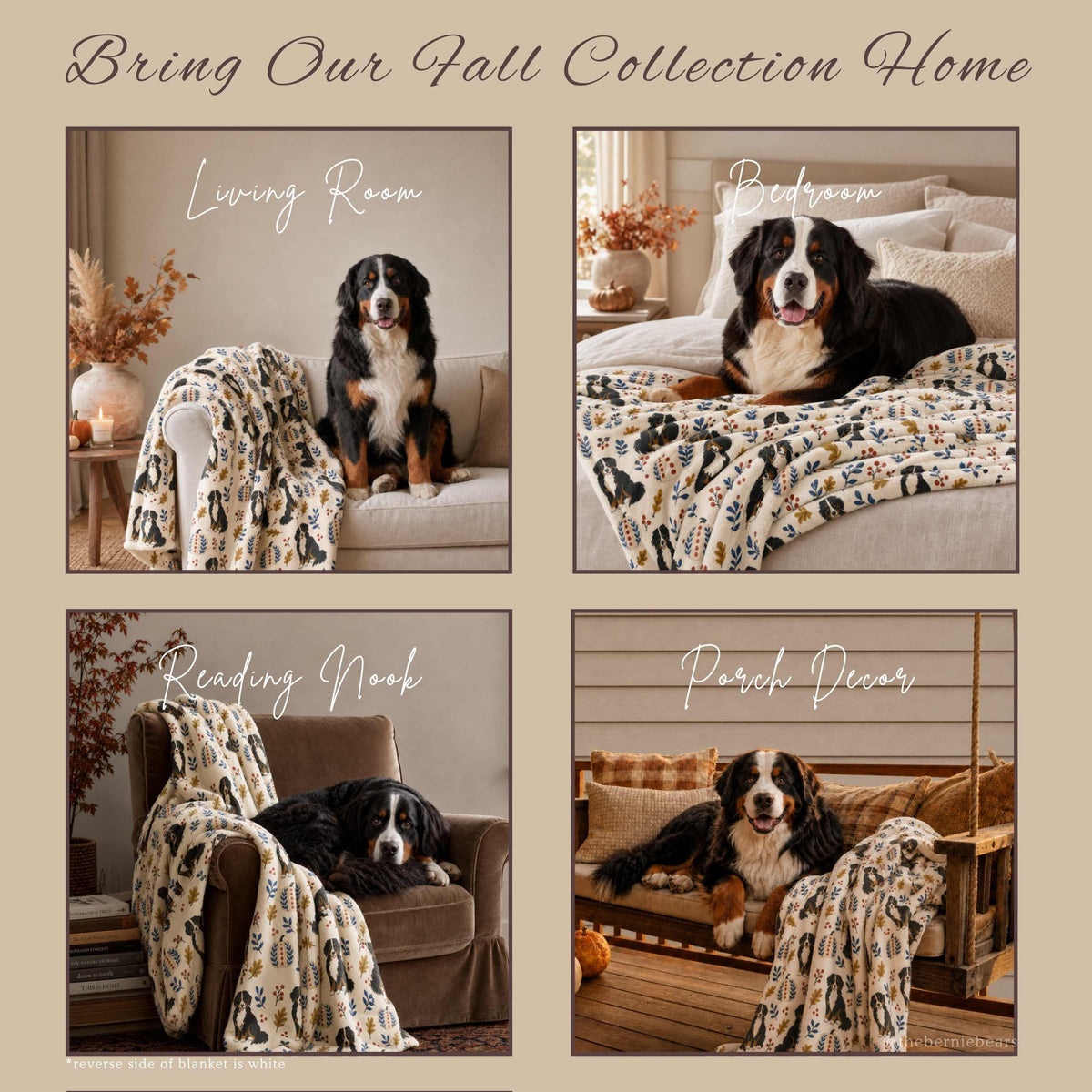 A four-photo collage titled "Bring Our Fall Collection Home" showing a Bernese Mountain Dog with the Painted Pumpkin Patch blanket in four settings: draped over a living room armchair, spread across a bedroom bed, draped over a reading nook chair with books nearby, and draped over a porch bench with pumpkins, with a note that the reverse side of the blanket is white.