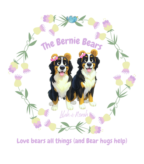 The Bernie Bears Shop